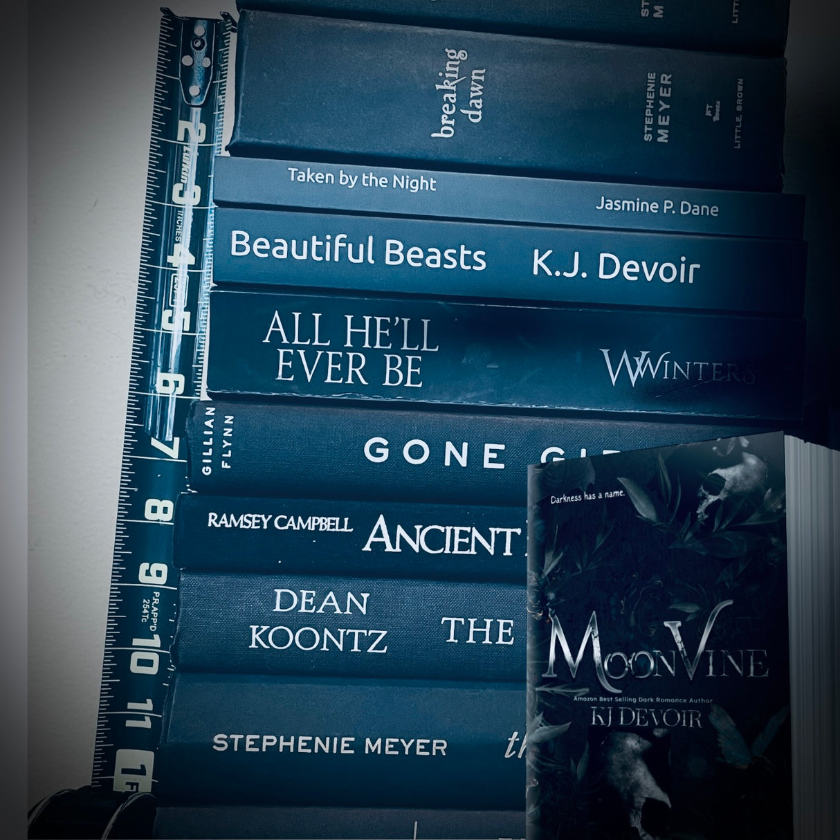 Black Spines - Decor you love to read - Surprise Signed Dark Romance Books in the Mix! Modern & Modern-Classics