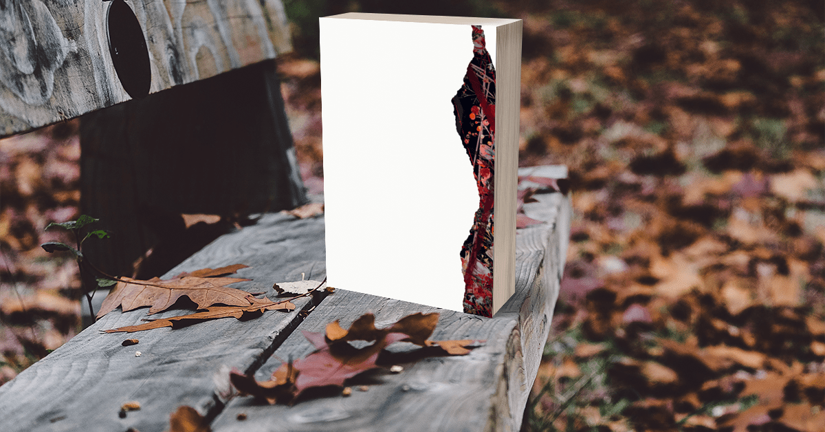 (🫦M+)Premium Book Box Subscription: Special Editions