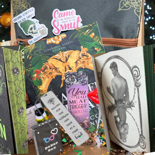 (🫦M+)Premium Book Box Subscription: Special Editions