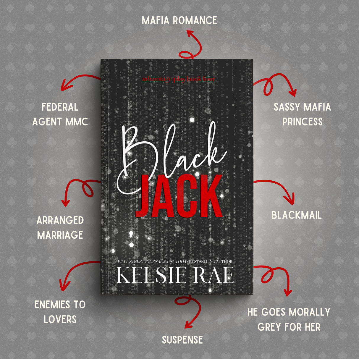 Advantage Play Series Paperback Bundle